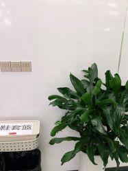 -悟空祛痘·专业祛痘机构