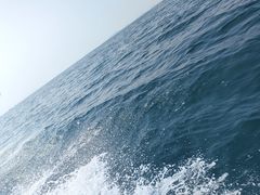 -双月湾小星山潜水·浮潜俱乐部