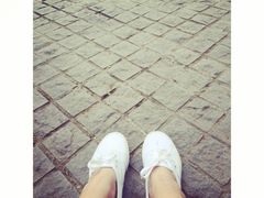 -哈尔滨文化公园