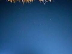 -乌托邦酒吧和餐厅