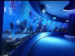 -石林冰雪海洋世界