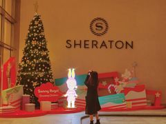 -广州奥园喜来登酒店