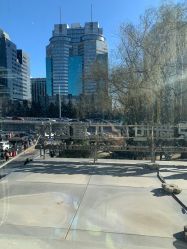 -北京新世纪儿童医院