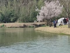 -嘉北郊野公园