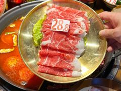 -红牌美蛙鱼头火锅(万辉国际广场店)
