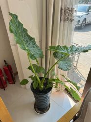 -慈蕊美容养生·专业经络调理