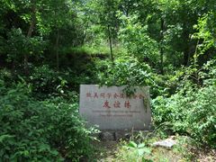 -鹫峰国家森林公园