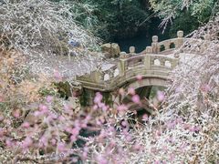 -北寺塔