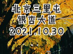 -三里屯东五街银杏大道
