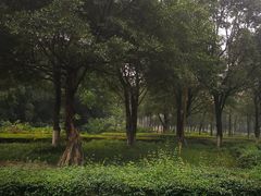 -重庆彩云湖湿地公园