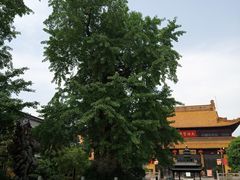 -圆通寺