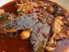 -宝荣鱼馆·临湖之宴(千岛湖店)