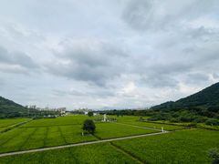 -艾米稻香小镇