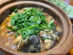 -九道菜有鸡鱼头(石鼓路店)
