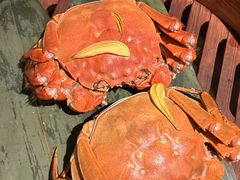 -成隆行·蟹王府(九江路店)