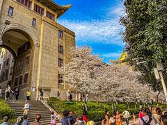 -武汉大学-樱园