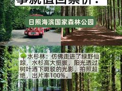 -日照海滨国家森林公园