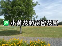 -汉长安城未央宫国家考古遗址公园