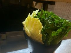 -探窝·竹笙椰子鸡(杨箕店)