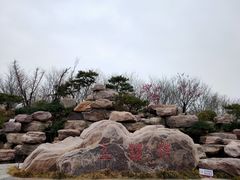 -古柏渡飞黄旅游区