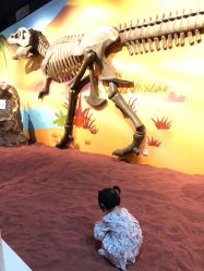 -北京科学中心儿童乐园