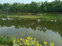 -东郊湿地公园