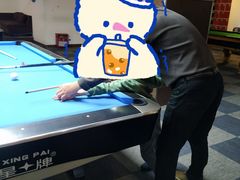 -丁俊晖台球俱乐部(海上海·弘基休闲广场店)