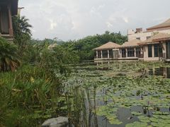 -广州从化都喜泰丽度假酒店温泉