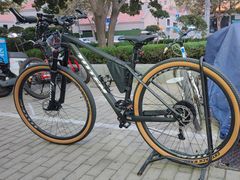 -道路口单车爱瓦士dahon大行