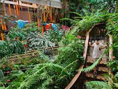 -正佳雨林生态植物园