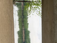 -白鹭湾湿地公园