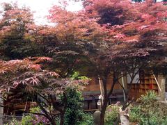 -阳光山水江湖菜馆(西山龙门店)