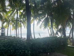 -日落吧·海景咖啡厅·餐酒吧·鸡尾酒·下午茶·乐队表演·浪漫夕阳·三亚文华东方酒店