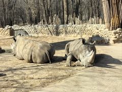 -北京野生动物园