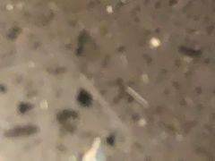 -锅说大脸毛肚重庆老火锅(佐阾店)