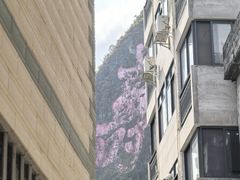 -长寿村