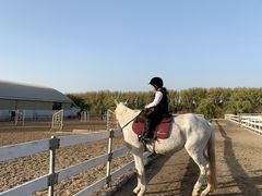 -月河湾马术俱乐部(朝阳店)