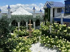 -Blue Concept Cafe&Farm·關於藍