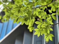-万科前海企业公馆