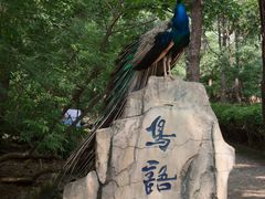 -燕塞湖鸟语林景区