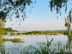 -绿堤公园