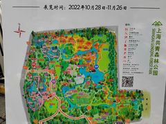 -上海共青森林公园