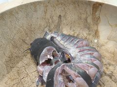 -云中鱼蒸汽石锅鱼(川沙百联店)