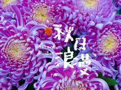 -杭州植物园