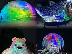 -海合安成都极地海洋公园