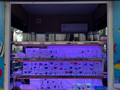 -哈尔滨道外花鸟鱼市场