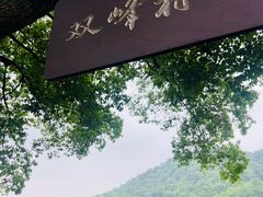 -中国茶叶博物馆(双峰馆区)