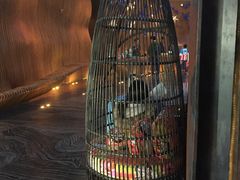 -上海外滩英迪格酒店