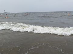 -南戴河海滨市场