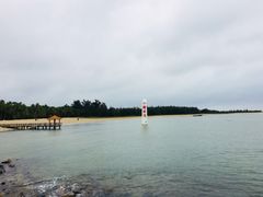 景点-东郊椰林